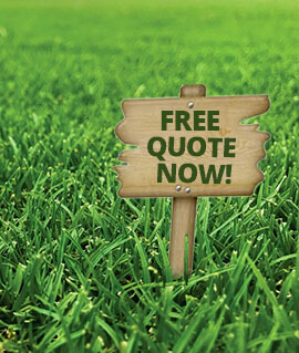 Get A Free Quote!
