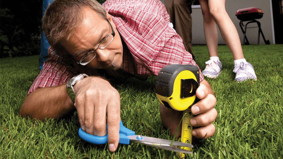 The Importance Of A Mowing Schedule