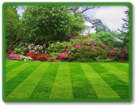 The Benefits Of Using GoMow In The Plano And Garland Areas the-benefits-of-using-gomow-in-the-plano-and-garland-areas