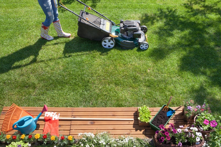 Five Lawn Care Maintenance Mistakes You 