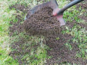 Fill Holes Lawn Care Maintenance dallas plano garland lawn care service lawn care services dallas plano garland irving