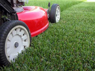 The Secret To A Great Looking Lawn the-secret-to-a-great-looking-lawn