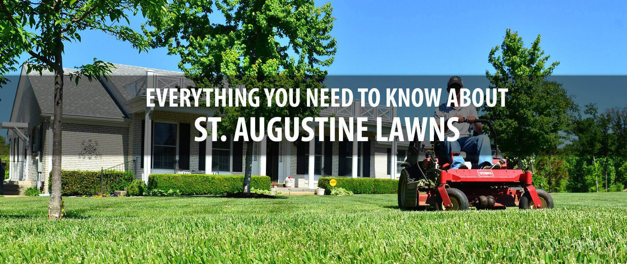 about-st-augustine-lawn-care