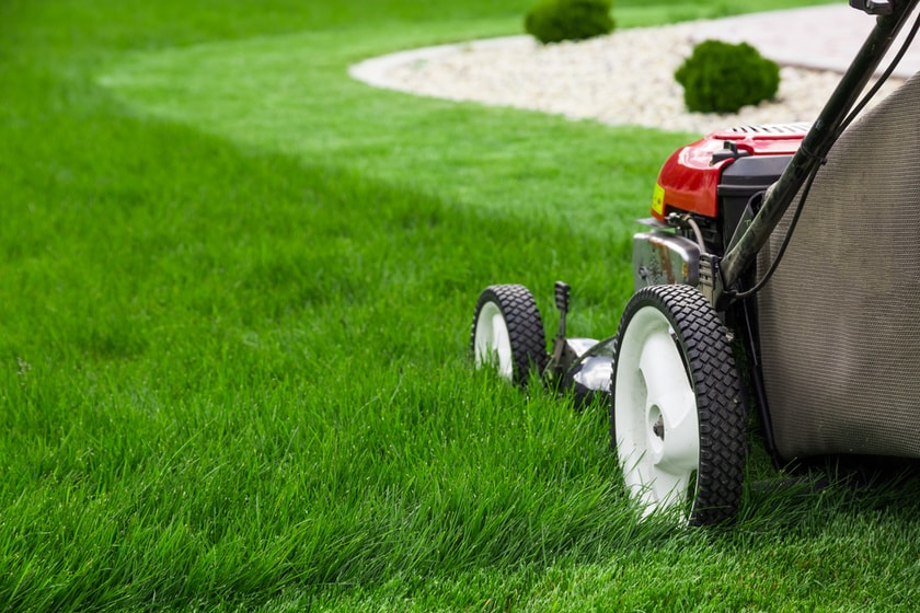 Prepping Your Lawn For Summer