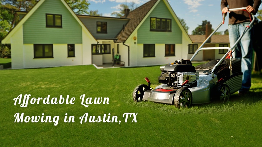 Affordable lawn mowing new arrivals