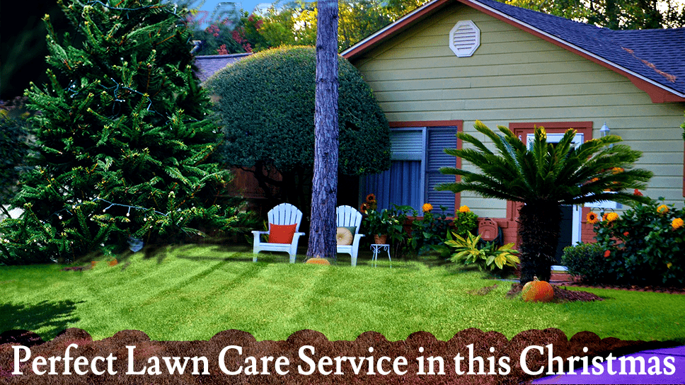 lets-have-a-perfect-lawn-care-service-in-this-christmas