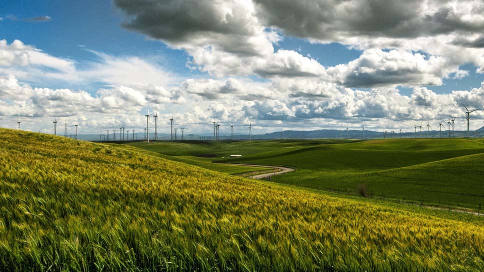 How Are Grasslands Affected By Climate Change