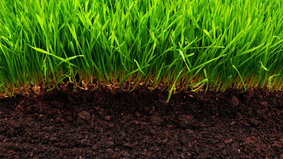 Lawn soil on sale