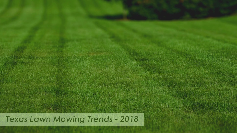 Texas Lawn Mowing Services Trends For 2018