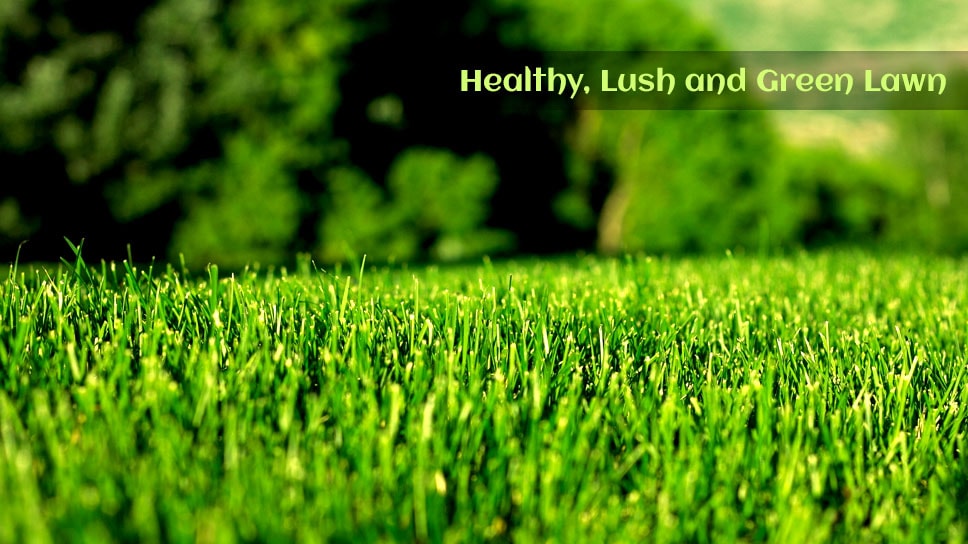 Lawn Mowing – Key To Having A Healthy, Lush And Green Lawn