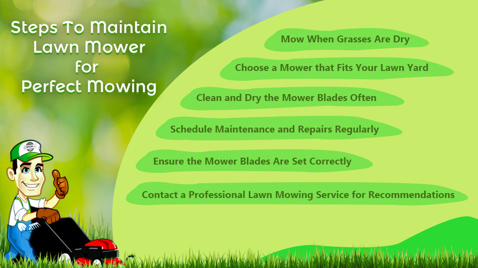 how-to-maintain-lawn-mower-for-perfect-lawn-mowing