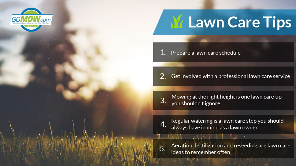 Lawn Care Tips From GoMow