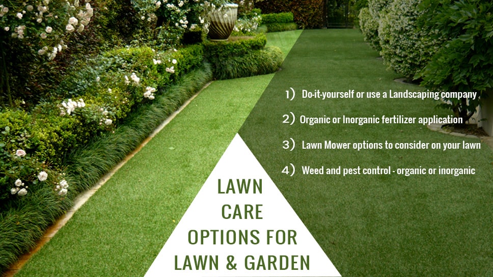 caring for your lawn