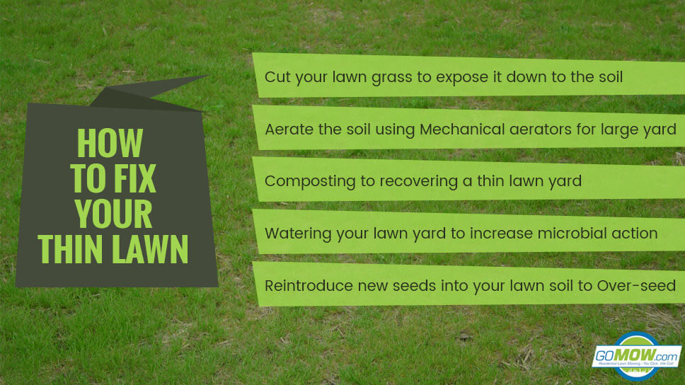 How To Fix Your Thin Lawn In Austin