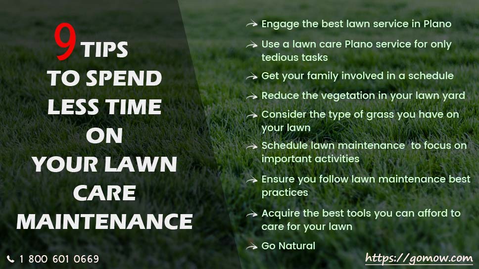 9 Tips To Spend Less Time On Your Lawn Care Maintenance In Plano