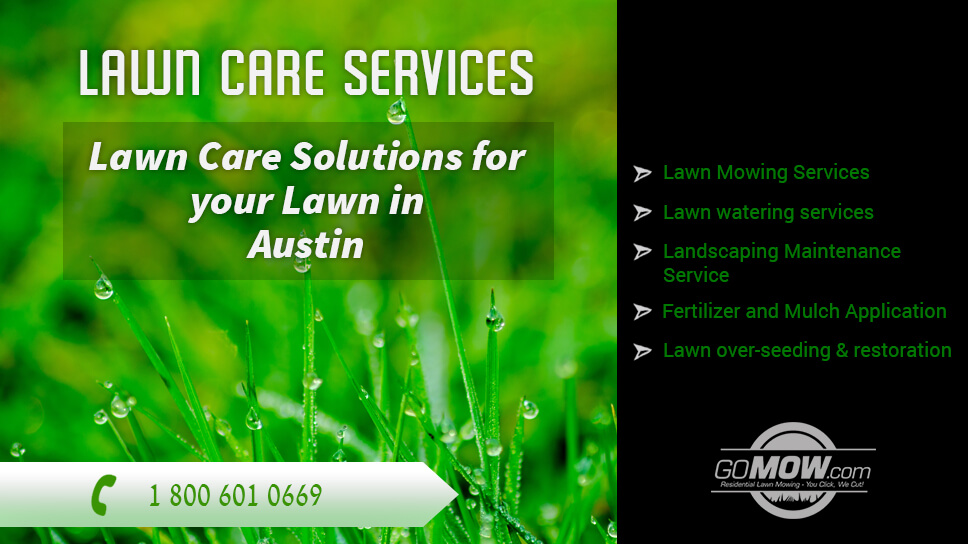 lawn-care-services-lawn-care-solutions-for-your-lawn-in-austin
