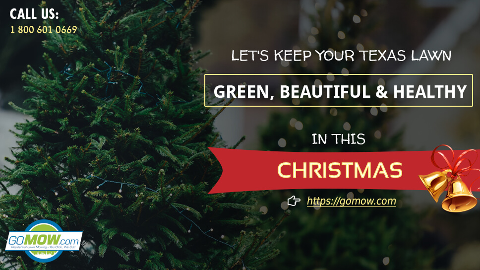 lets-keep-your-texas-lawn-green-beautiful-and-healthy-in-this-christmas