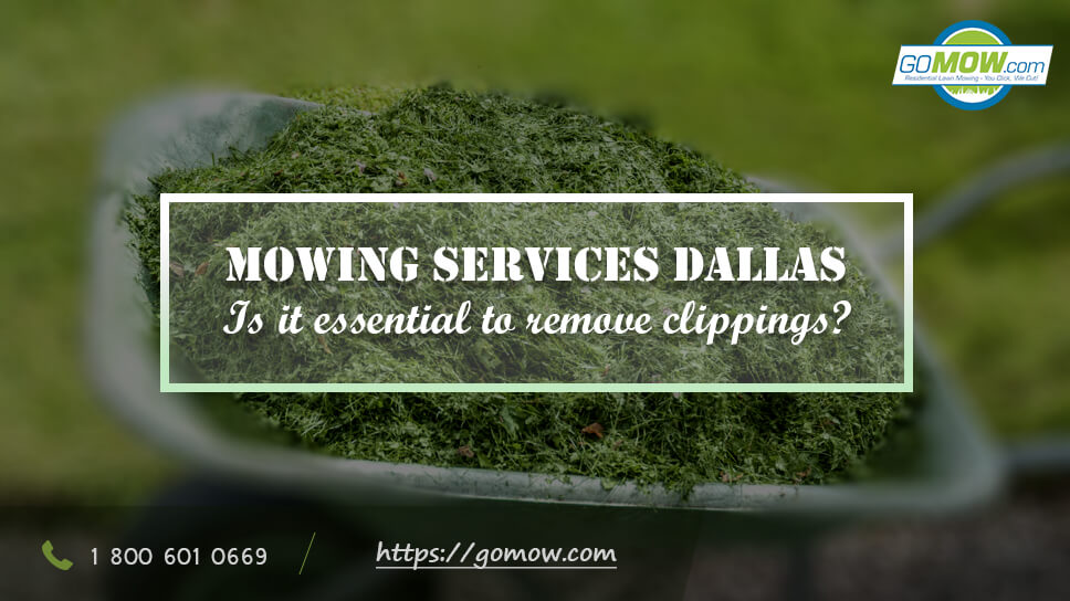 Mowing Services Dallas – Is It Essential To Remove Clippings?