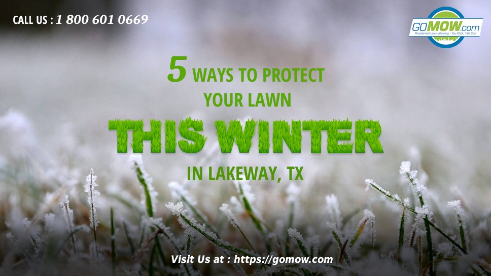 5 Ways To Protect Your Lawn This Winter In Lakeway, TX