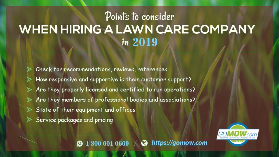 6 Points To Consider When Hiring A Lawn Care Company In 2019