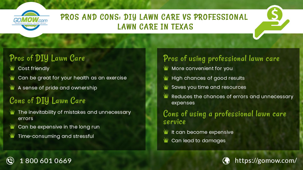 Pros And Cons: DIY Lawn Care Vs Professional Lawn Care In Texas