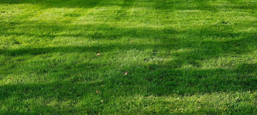 Local Lawn Mowing Service In Richardson, Texas