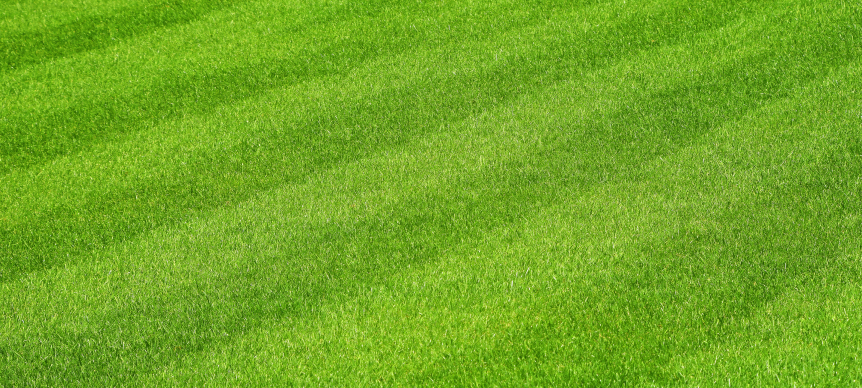 Local Lawn Mowing Service In Round Rock, Texas