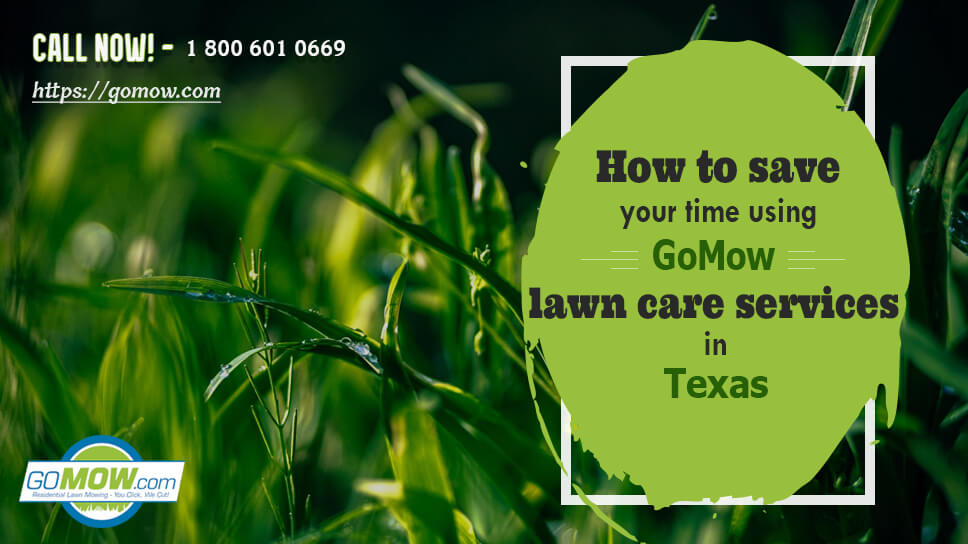 How To Save Your Time Using GoMow Lawn Care Services In Texas