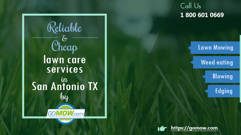 Lawn mowing near online me cheap