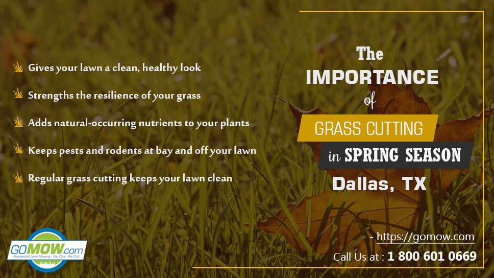 the-importance-of-grass-cutting-in-spring-season-in-dallas-tx