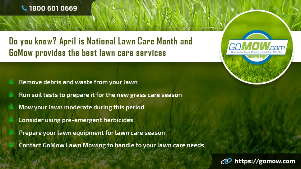 new lawn care service