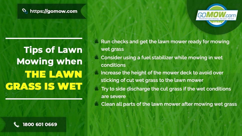 Can you mow your 2024 lawn when it's wet