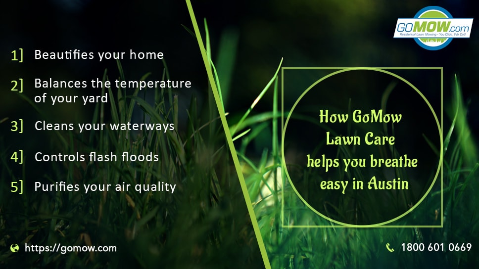 How GOMOW Lawn Care Helps You Breathe Easy In Austin