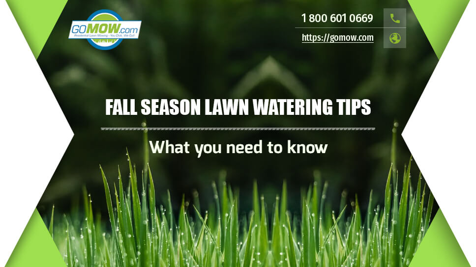 Fall Season Lawn Watering Tips: What You Need To Know