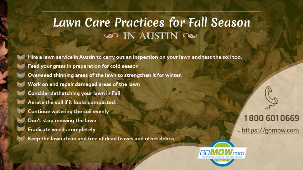 lawn-care-practices-for-fall-season-in-austin