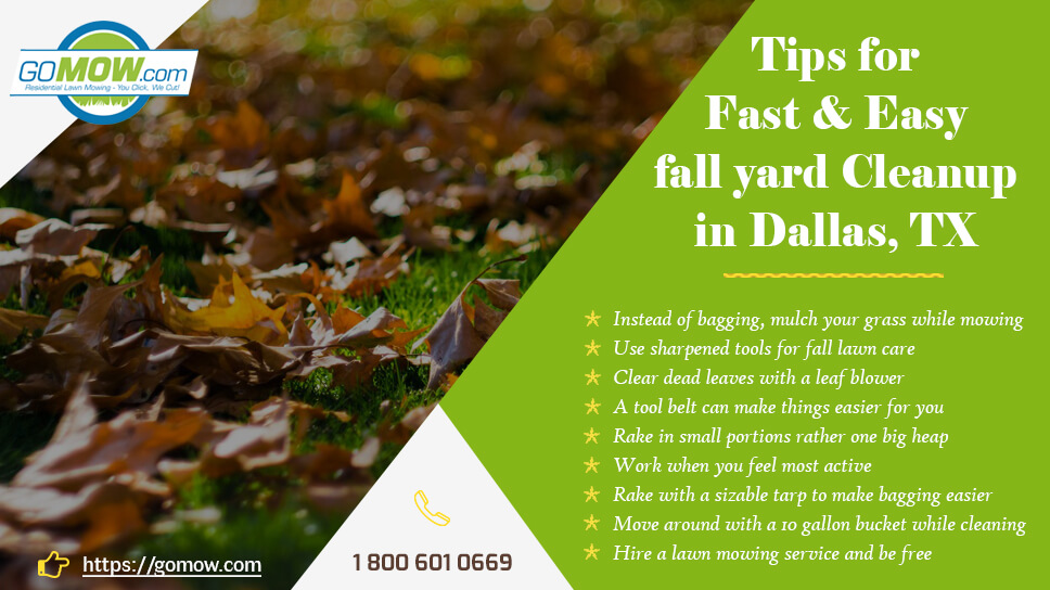 Tips For Fast And Easy Fall Yard Cleanup In Dallas, TX