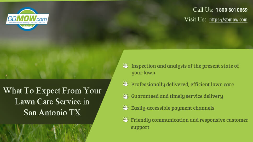 Sonoma County Lawn Services