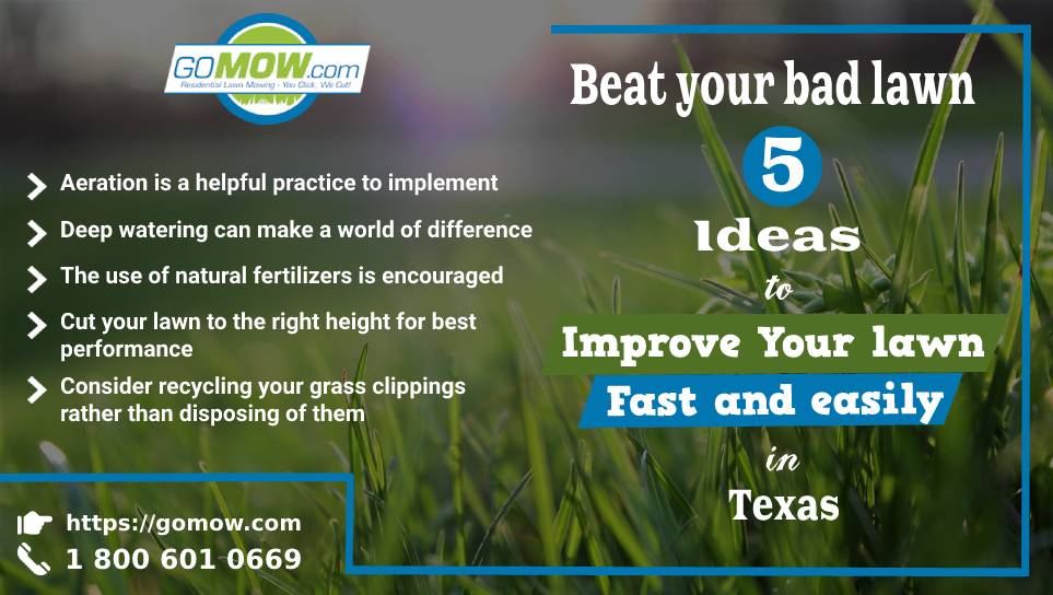 Beat Your Bad Lawn: 5 Ideas To Improve Your Lawn Fast And Easily In Texas