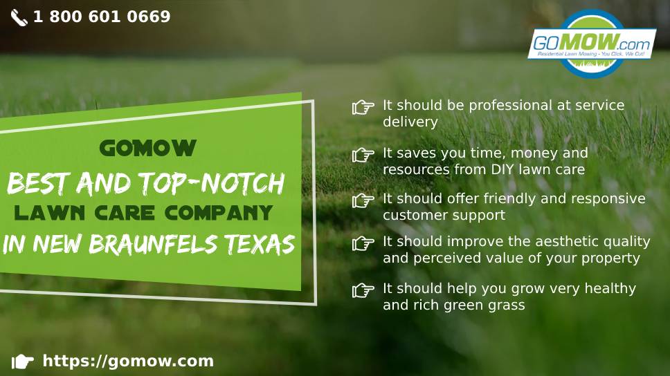 best lawn care company