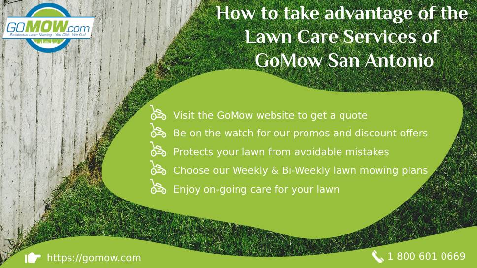 Sonoma County Lawn Care Companies