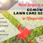 never-forget-to-use-the-gomow-lawn-care-services-in-pflugerville-tx-for-2025