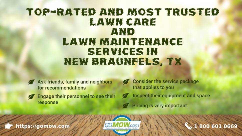 Top-rated And Most Trusted Lawn Care And Maintenance Services In New Braunfels, TX