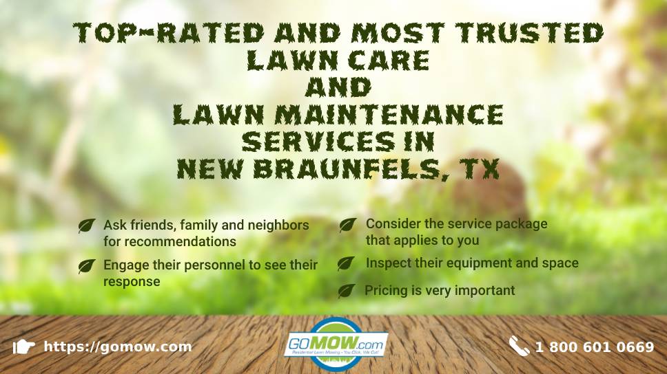 Lawn deals care recommendations