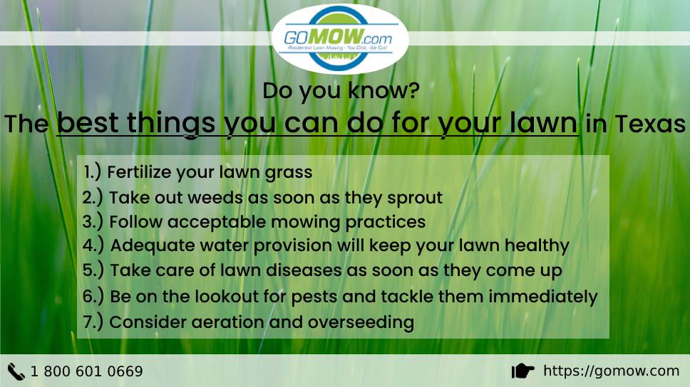 Do You Know? The Best Things You Can Do For Your Lawn In Texas