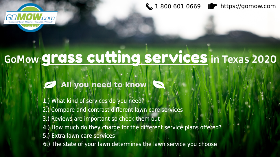 True Lawn Care San Diego