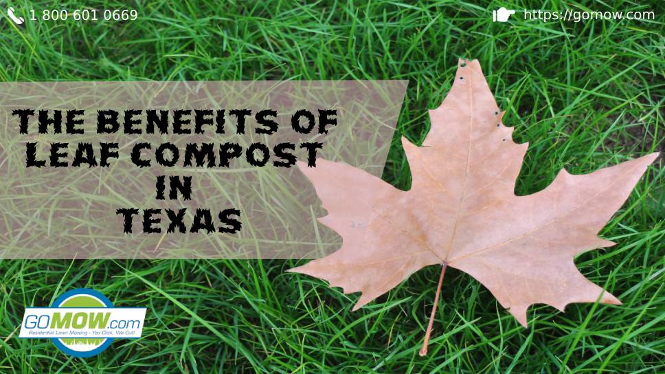 The Benefits Of Leaf Compost In Texas