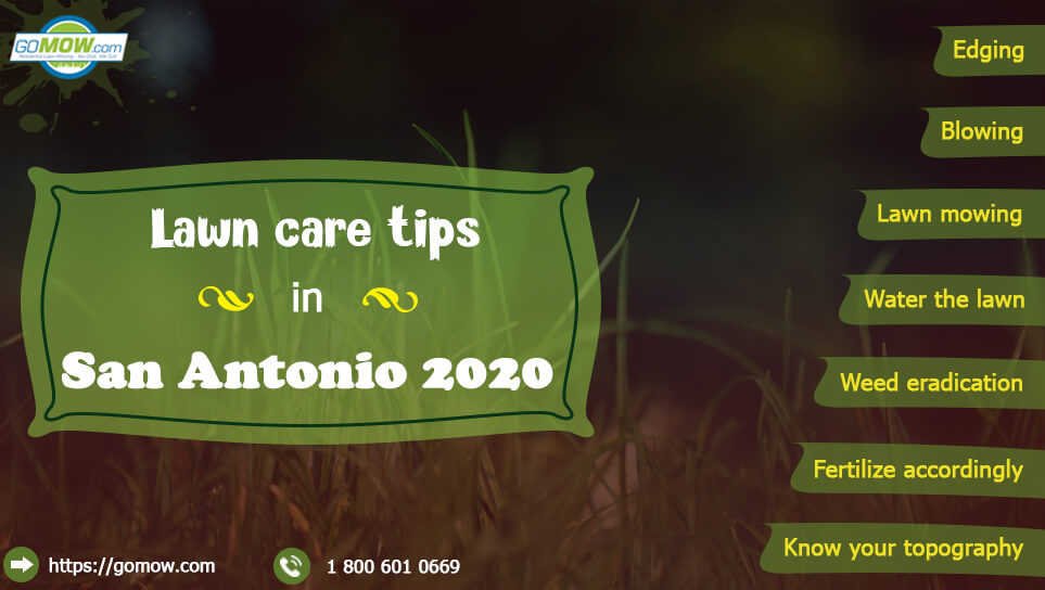 Lawn Care Tips In San Antonio 2020 – Lawn Mowing, Blowing, Edging, Weed Eating