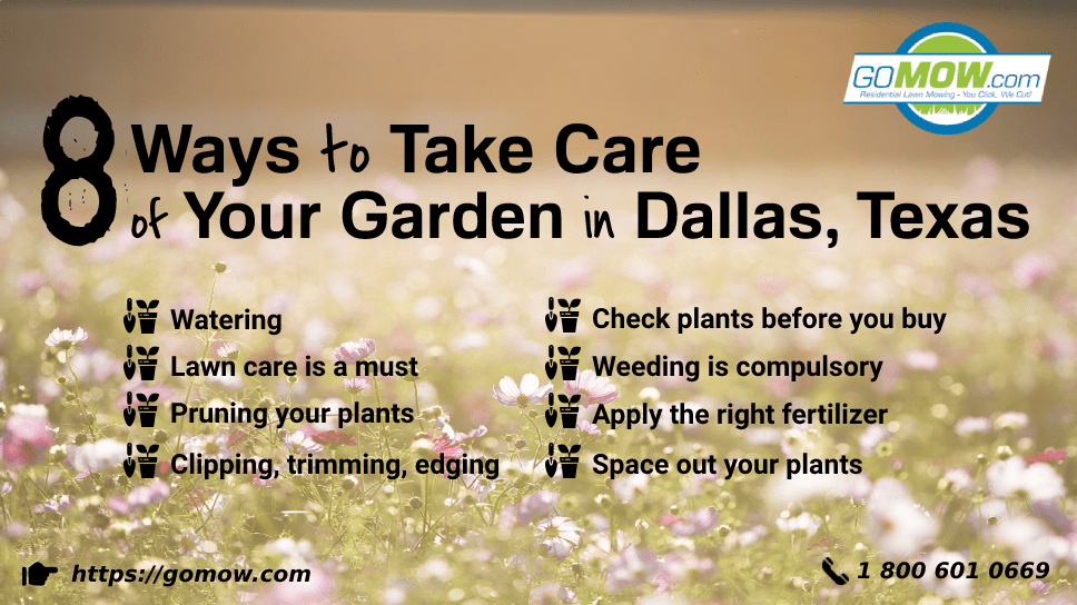 8-ways-to-take-care-of-your-garden-in-dallas-texas