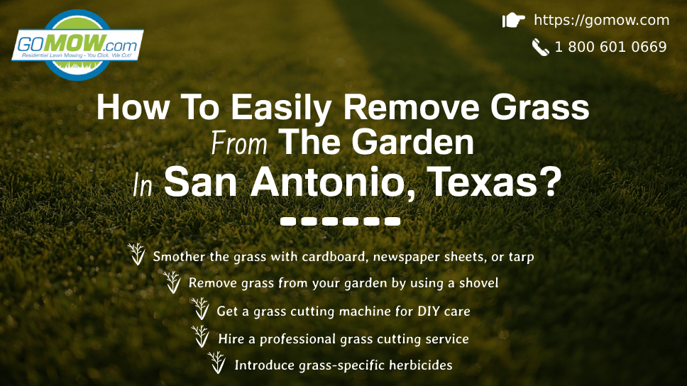 How To Easily Remove Grass From The Garden In San Antonio, Texas?