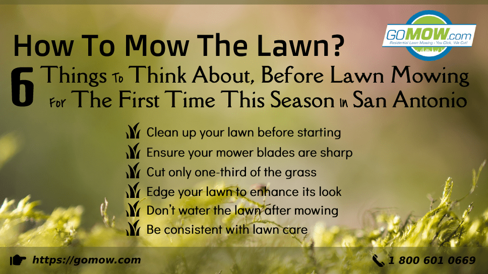 how-to-mow-the-lawn-6-things-to-think-about-before-lawn-mowing-for-the-first-time-this-season-in-san-antonio